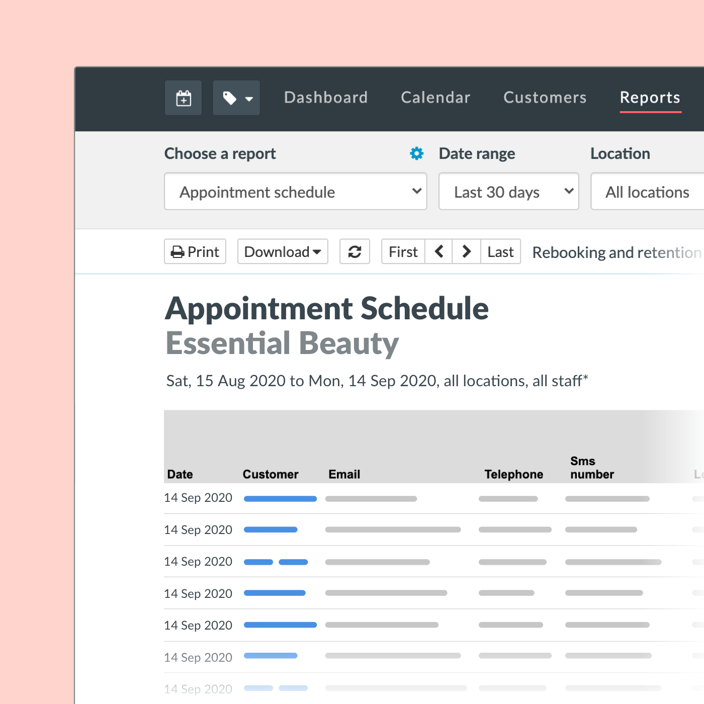 Timely's reporting features to access client information and appointment details